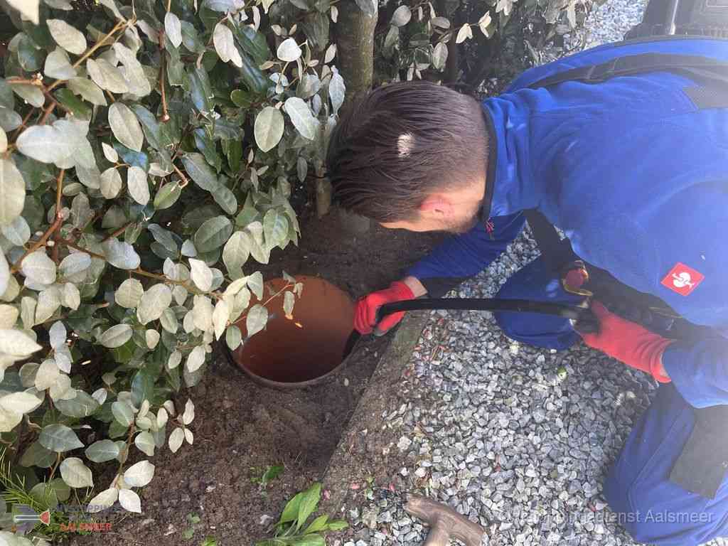 Rioolvliegjes Aalsmeer Rioolvliegjes Aalsmeer